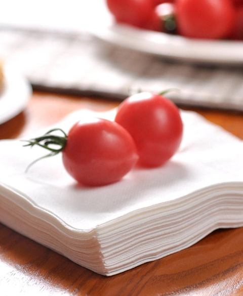 西咸新區(qū)灃東新城潔麗紙品廠